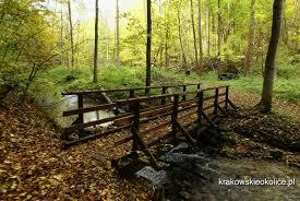 Rezerwat przyrody Dolina Racławki